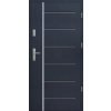 Drzwi T41 A1 INOX Antracyt 55 mm